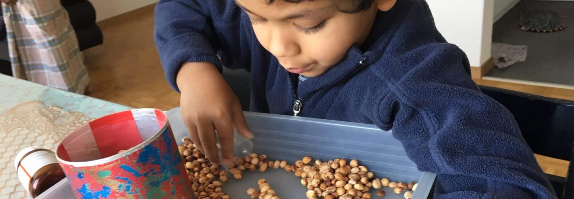 Boy sits at the table and explores and plays with cherry stones fascinated.